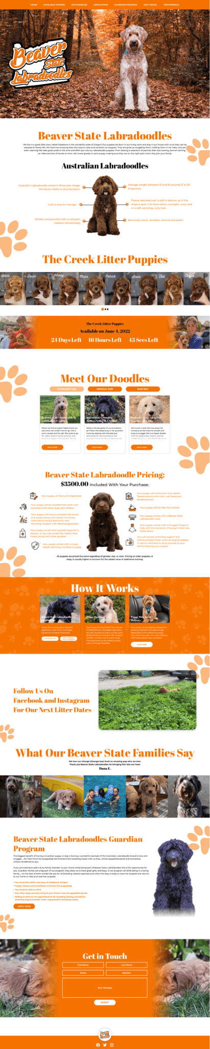 Image showcasing Affordable Custom Web Design Service in USA | Artistic Logo